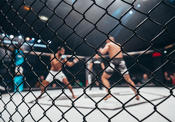 mma-placeholder-img